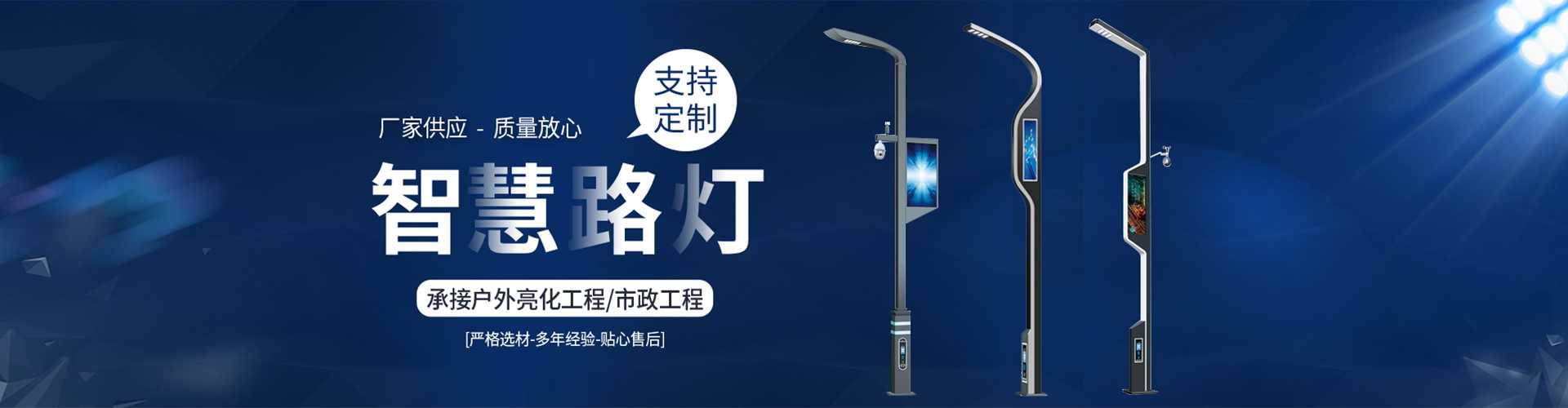 枣庄市太阳能路灯定制厂家